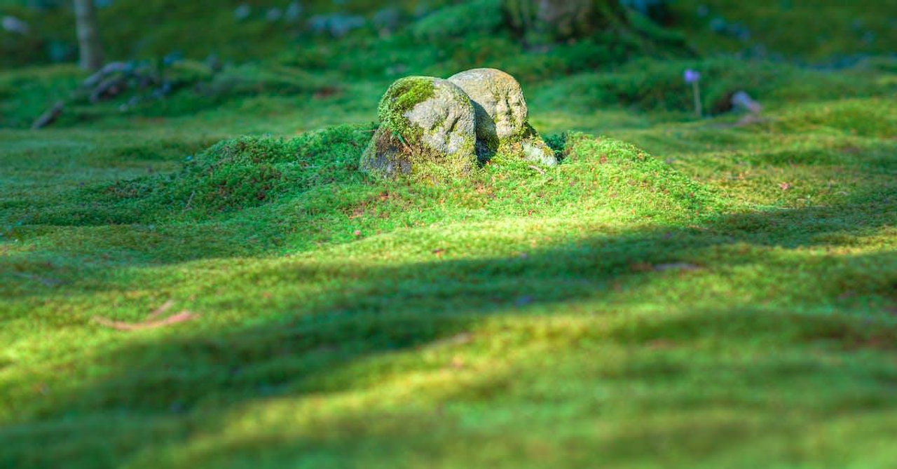 Gray Rock Formation on Grass Field