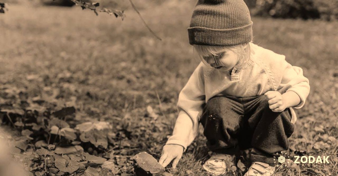 Interested little boy exploring stone