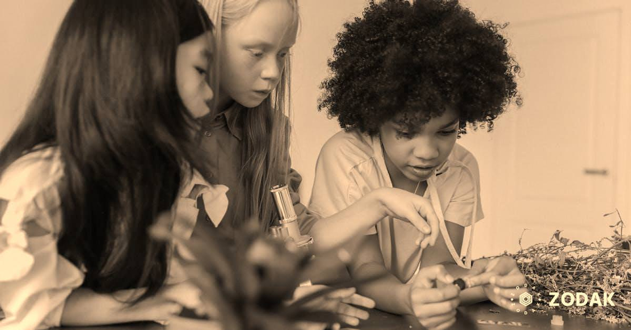 Concentrated multiracial children discussing while watching samples in microscope in room with plants