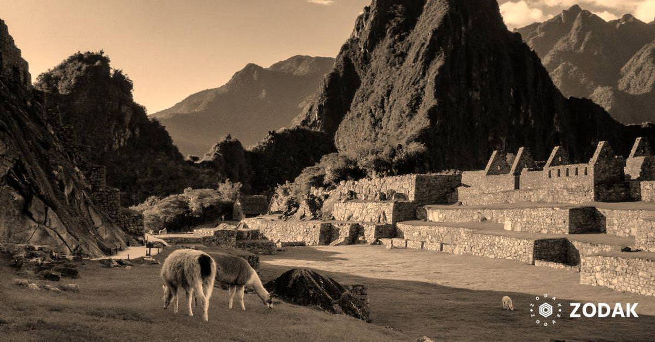 Machu Picchu and Grazing Lamas 