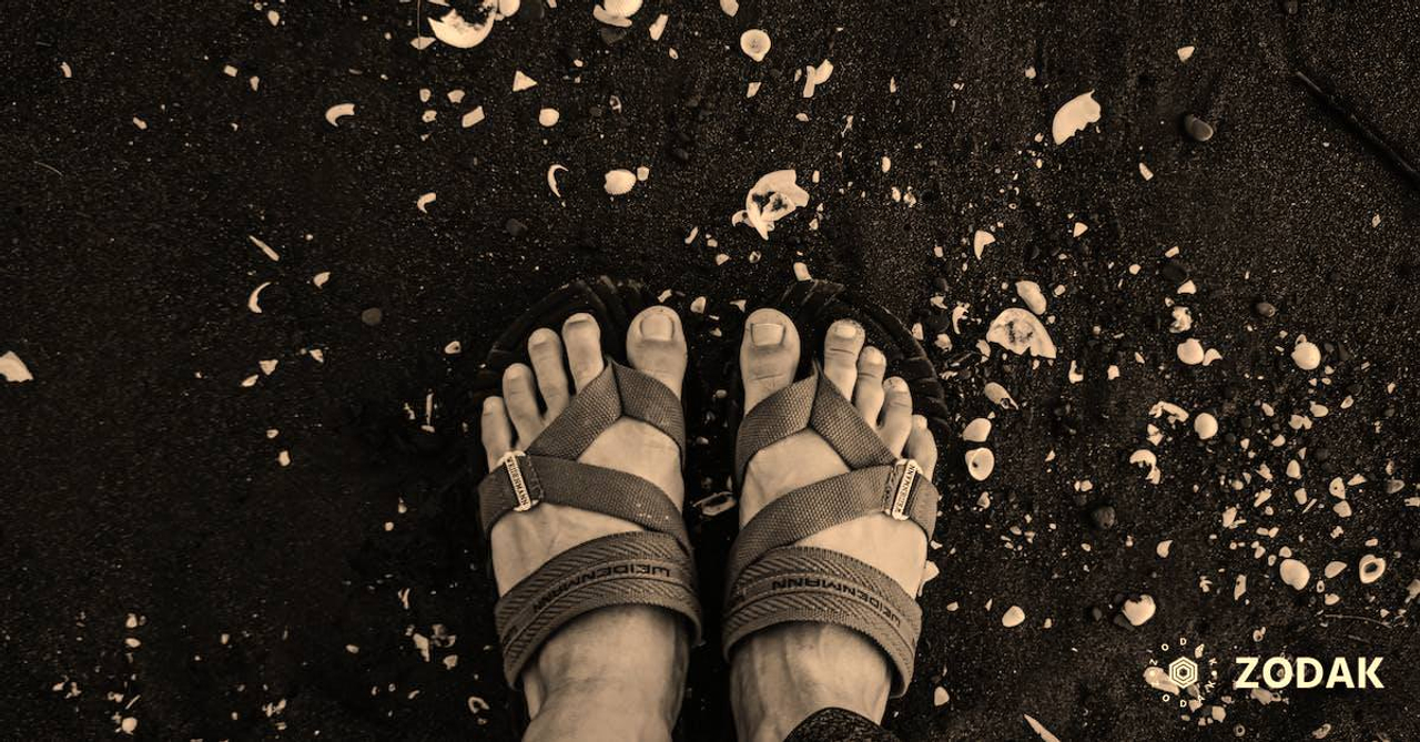 Person standing on sandy coast with parts of seashells