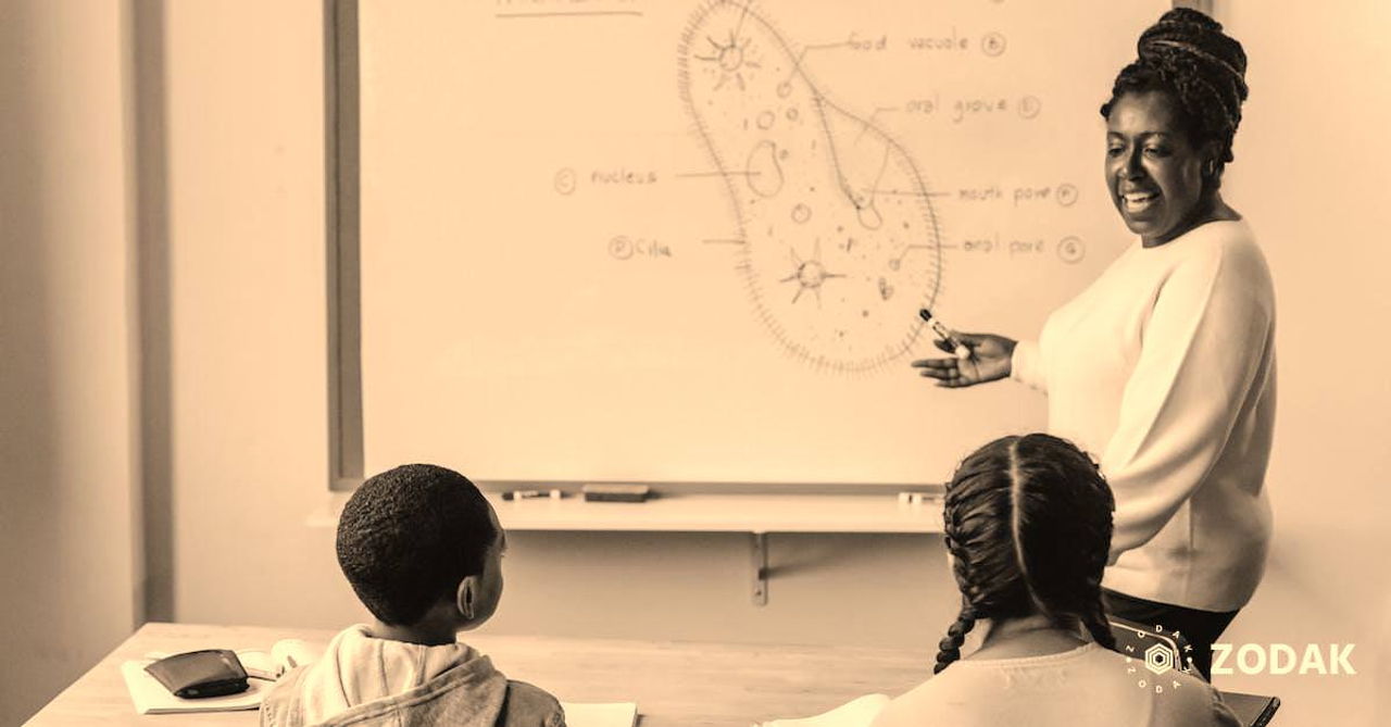 Happy experienced African American teacher showing scheme of Infusoria on whiteboard to young students